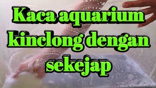 Cara Ampuh Membersihkan Kaca Aquarium Berkerak Dengan Citrun
