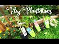 Vlog Plantations : ce que j'ai acheté avec la Youtube Money !!!