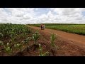 Mugabe declares state of national disaster in Zimbabwe over drought