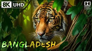 BANGLADESH 🇧🇩 8K Video Ultra HD [60FPS] Dolby Vision | Bangladesh 8K HDR