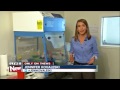 local lab certified to test pot for bacteria mold