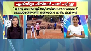 ക്രിക്കറ്റ് കളിക്കിടെ കളിക്കാരെ ഓടിച്ച് കാളകൾ | Thalsamayam Reporter