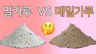 밀가루 VS 메밀가루