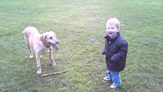 Mason Throwing Stick to a Dog !