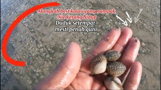 Mencari kerang dekat pantai