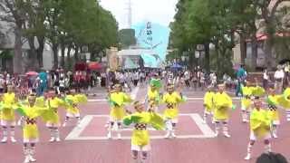 なないろよさこいさん　 たまよさこい2014