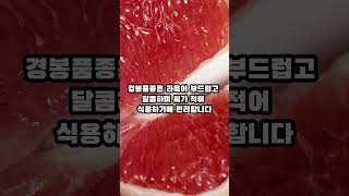 딱딱이 복숭아중 가장 맛있는 품종은 뭘까?