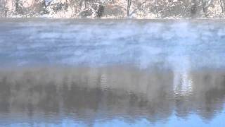 Nebel über der Kiesgrube Dresden-Leuben
