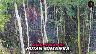 Suku Anak Dalam, Orang Rimba Penghuni Hutan Belantara Sumatera