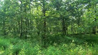 2.12 Acres Missouri Land FSBO, near Lake of the Ozarks in Gated Community