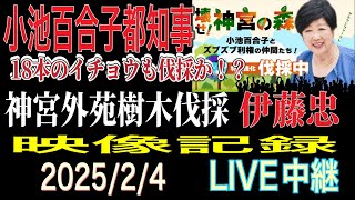 【ライブ中継】18本のイチョウはどうなる！？伊藤忠のビルは建て替えが本当に必要なのか？神宮外苑樹木伐採 映像記録 2025/2/4