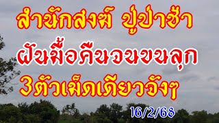 ด่วน ปู่ป่าช้าฝัน สองเม็ดหนักๆ งวดนี้ปู่บอก3ตัวไม่เคยพลาด 16/2/68