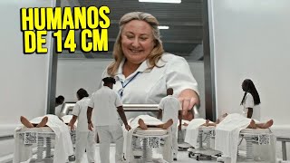 HUMANOS SON REDUCIDOS A 14 CENTIMETROS PARA HACERSE RICOS | Resumen Pequeña Gran Vida en minutos