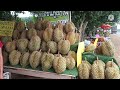 สำรวจราคาทุเรียนภูเขาไฟที่แผงขายทุเรียนปากทางบ้านซำตารมย์ กันทรลักษ์ ศรีสะเกษ โลละ180 190บาท