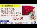 【高山奈々】検索は禁止です【ダメですよ～】　2020年12月24日 木 サンシャイン