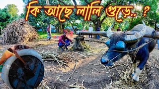 ব্রাহ্মণবাড়িয়ার লালি গুড়ের কদর এখন দেশ জুড়ে ||আখের গুড় || Lali Gur ||@SalahuddinSumon