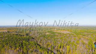 Bazhukovo, Russia. Autumn landscape. Serga River. Deer streams - nature park in a wooded area, Ae...