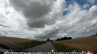 ขับรถเลาะชนบท ชมทุ่งข่าวบาร์เลย์ในเดนมาร์กจร้า (korn)😊🇩🇰🇹🇭🥰🌾🌾🌾🌾