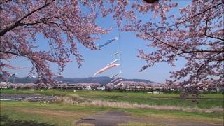 相川水辺公園2017