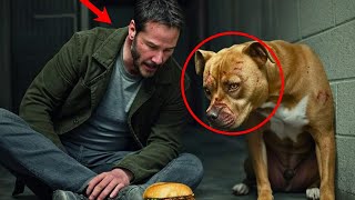 KEANU REEVES E UN CANE DEL RIFUGIO: 4 ORE CHE CAMBIARONO LE LORO VITE...