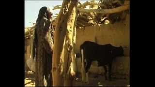 Iranian Rural Women, Zabol - زنانی از روستا. زابل