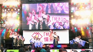 【4K】早稲田大学よさこいチーム東京花火「舞灯籠」｜ 早稲田祭2018 大隈講堂前ステージ