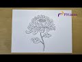 How to Draw a Chrysanthemum Easy step by step