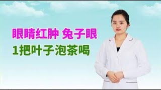 眼睛红肿充血，兔子眼，1把叶子泡茶喝，清热通络，恢复眼睛健康