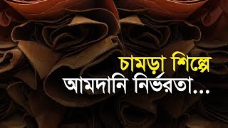 চামড়া শিল্পে আমদানি নির্ভরতা...