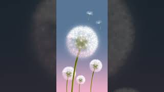 Draw Dandelion and Flying Seeds with iPad Procreate #shorts