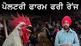 Poultry Farm- ਪੋਲਟਰੀ ਫਾਰਮ ਫਰੀ ਰੇਂਜ | Poultry Farm Practical Training | poultry King Patiala