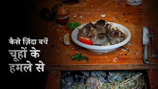 चूहों के हमले से कैसे ज़िंदा बचें | How To Survive a Mice Infestation