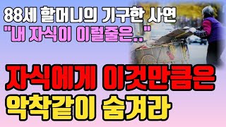 이것을 못 숨겨서 자식에게 탈탈 털린 80대 할머니의 비참한 노후 사연 l 자식에게 사기 안 당하는 법 l 노후에 혼자서도 행복하게 지내는 법 l 오디오북 l 인생 조언 철학