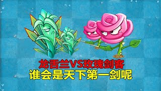 植物大战僵尸：龙舌兰VS玫瑰剑客，谁会是天下第一剑呢