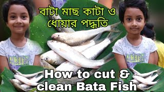 বাটা মাছ কাটা ও ধোয়ার পদ্ধতি || requested video - How to cut and clean Bata Fish||Bata Fish Cutting