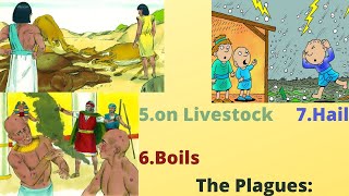 #Exodus9 #யாத்திராகமம்9 Plague on Livestock|Plague of Boils|Plague of Hail|பூமி கர்த்தருடையது |NGJ