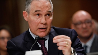 Court Rules Newly Confirmed EPA Head Must Release Thousands of Emails