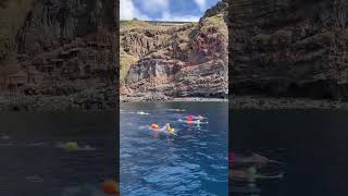 Swimming in Calhau da Lapa, one of the Hidden Gems of Madeira Island 🤩