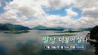 [#다큐온_예고] 팔당, 더불어 살다ㅣKBS 방송