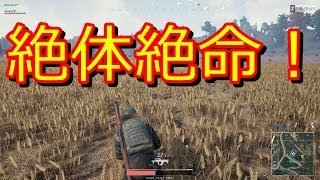 [ＰＵＢＧ]スモークグレネード1つでここまで変わります