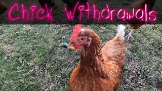 Chick Withdrawal [Day 3994 - 10.07.21] Found Footage!