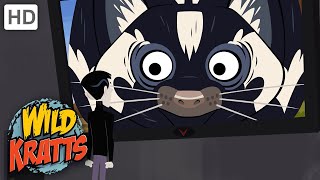 Wild Kratts | Skunked! | Full Episode | Season 2