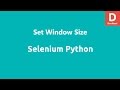 Selenium Python Set Window Size