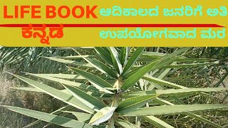 ಆದಿಕಾಲದ ಜನರಿಗೆ ಸಹಾಯವಾದ ಮರ life book Kannada ಈಚಲಮರ