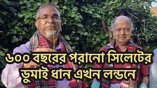 ৬০০ বছরের প্রাচীন ডুমাই লন্ডনে ধান কিভাবে পৌঁছালো?