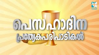 പെസഹാദിന പ്രത്യേക പരിപാടികൾ | PESAHA SPECIAL PROGRAMS  | SHALOM TV