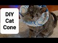 DIY: How to Make a Cat Cone (neuter surgery recovery)