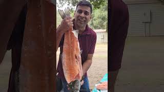 Pink Salmon with Egg, first time in our channel