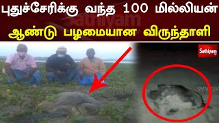 புதுச்சேரிக்கு வந்த 100 மில்லியன் ஆண்டு பழமையான விருந்தாளி | Web Special | Sathiyam Tv