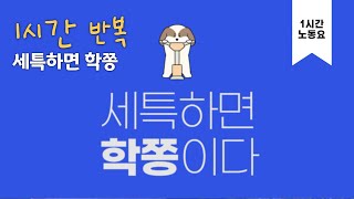 [🎧1시간 반복듣기🎧] 세특하면 학쫑 반복재생 1시간 노동요